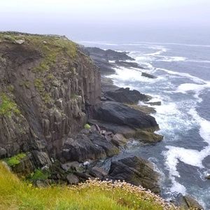 Meet your Posher, Cora